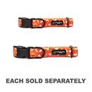 BBL Perth Scorchers Dog Collar