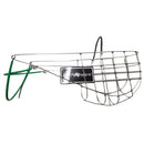 Greyhound honden snuit