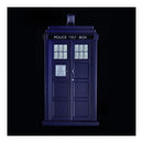 Doctor Who The Ninth & Tenth Doctor's TARDIS 1:21 Replica