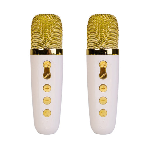Wireless Karaoke Duo System