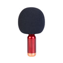 Premium Portable Wireless Karaoke
