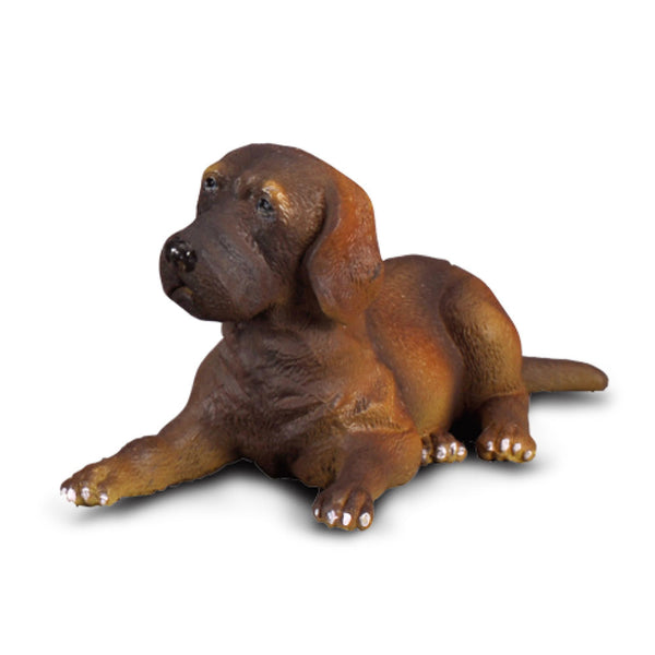 CollectA Great Dane Puppy Figure (Small)