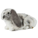 Living Nature Grey Dutch Lop Ear