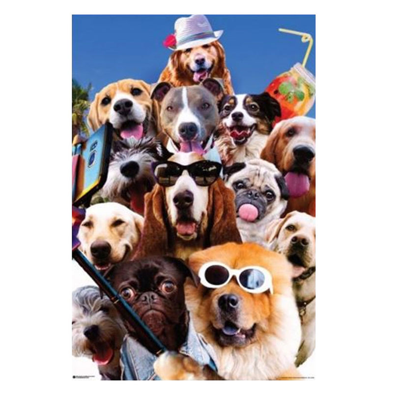 Galaxie aléatoire Poster