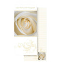 Ozcorp List Pad with Magnet 200x75mm (Cream Rose)